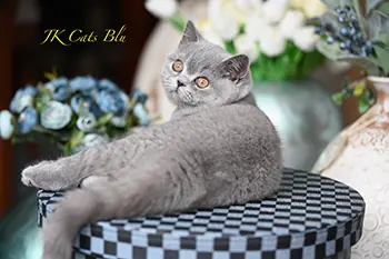 litterb (8) copy